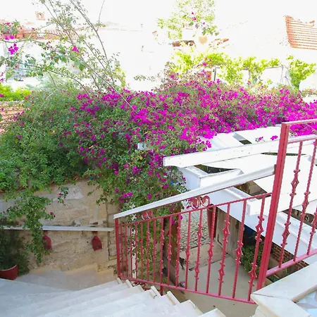 Filizce Alacati *